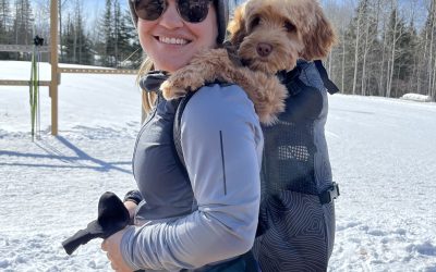 Get to know a CanSAGE Board Member: Dr. Deanna Buitenhuis