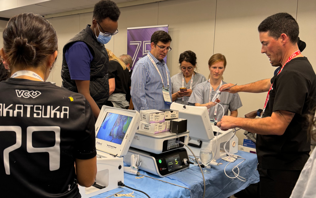 Looking back at the CanSAGE EndoSURG Mentorship Program